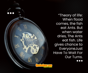 Read more about the article Theory of life….