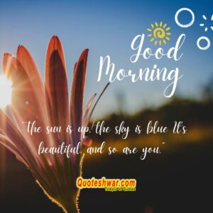 Read more about the article Good Morning…