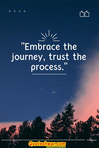 Life Quotes embrace the journey